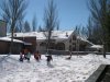 Nieve