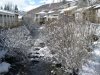 Nieve