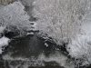 Nieve