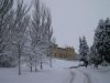 Nieve