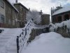 Nieve
