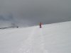 Nieve