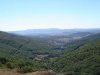 Monte