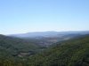 Monte