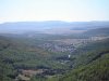 Monte