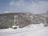 Nieve