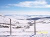 Nieve