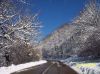 Nieve