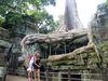 Barruelanos en en la Raíz templo en Siem-Reap, Camboya