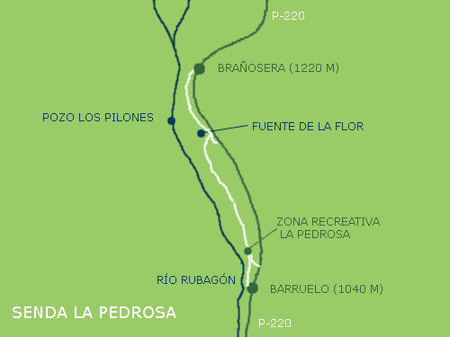 Pincha para volver al texto