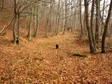 La Senda en Invierno